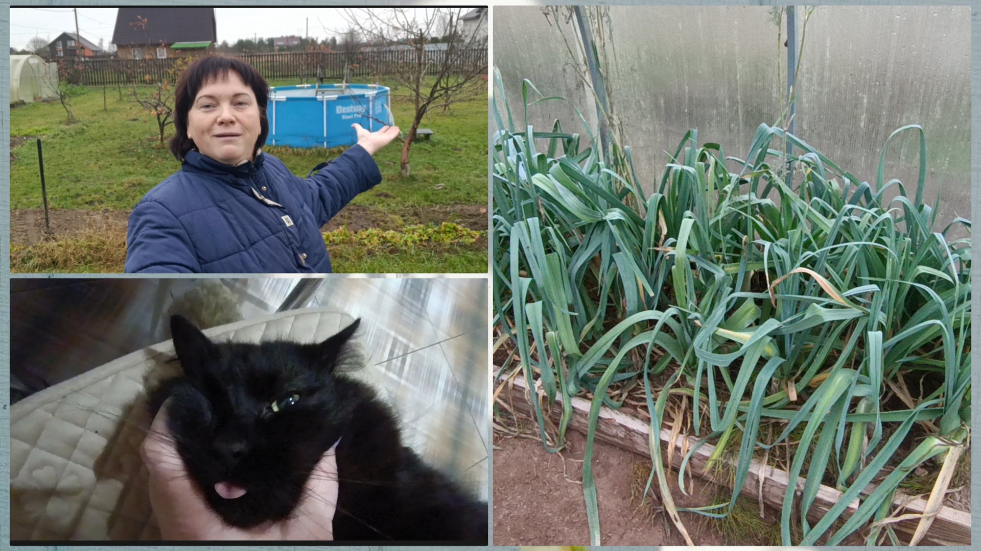 Не обижайтесь,но говорю как понимаю.Состав компресса. смотреть онлайн