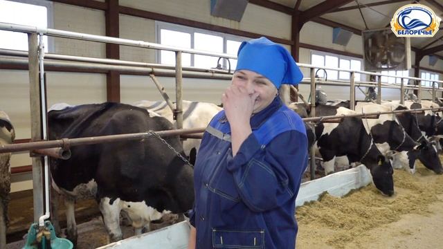 Точки роста в молочном животноводстве Белоречья. Стратегия на успех по всем направлениям.
