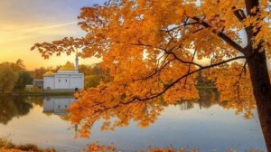 наверное  осень виновата