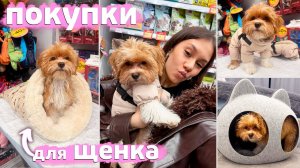 ЗАКУПКА для ЩЕНОЧКА