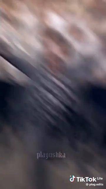 Если честно не знаю что это