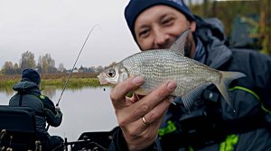 ФИДЕР по холодной воде! Ловим густеру поздней осенью