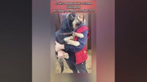 Отчет по спасенным собакам!