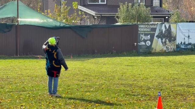 1 Оч/хор ЖДАНА из Дружины Пересвета +0+ №28. ВОРОНЕЖ 26 октября`25 Моно немецких овчарок смотреть онлайн