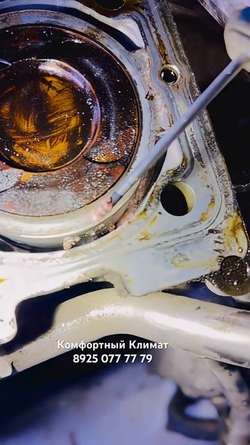 СИЛИКАГЕЛЬ ♀️ КАДРЫ ИЗ НУТРИ смотреть онлайн