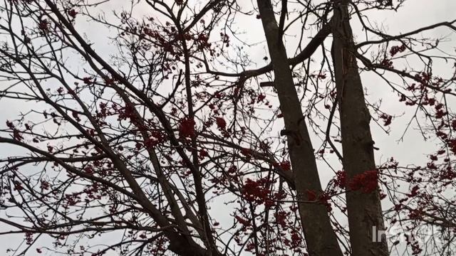 Созерцание 🥰 . Россия. Тульская область
