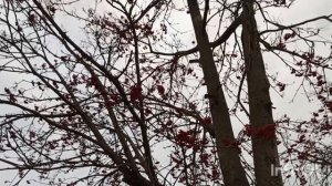 Созерцание 🥰 . Россия. Тульская область