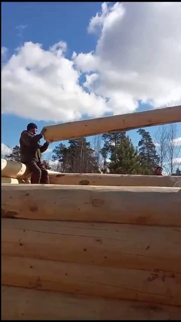 Сборка сруба опять и опять ))