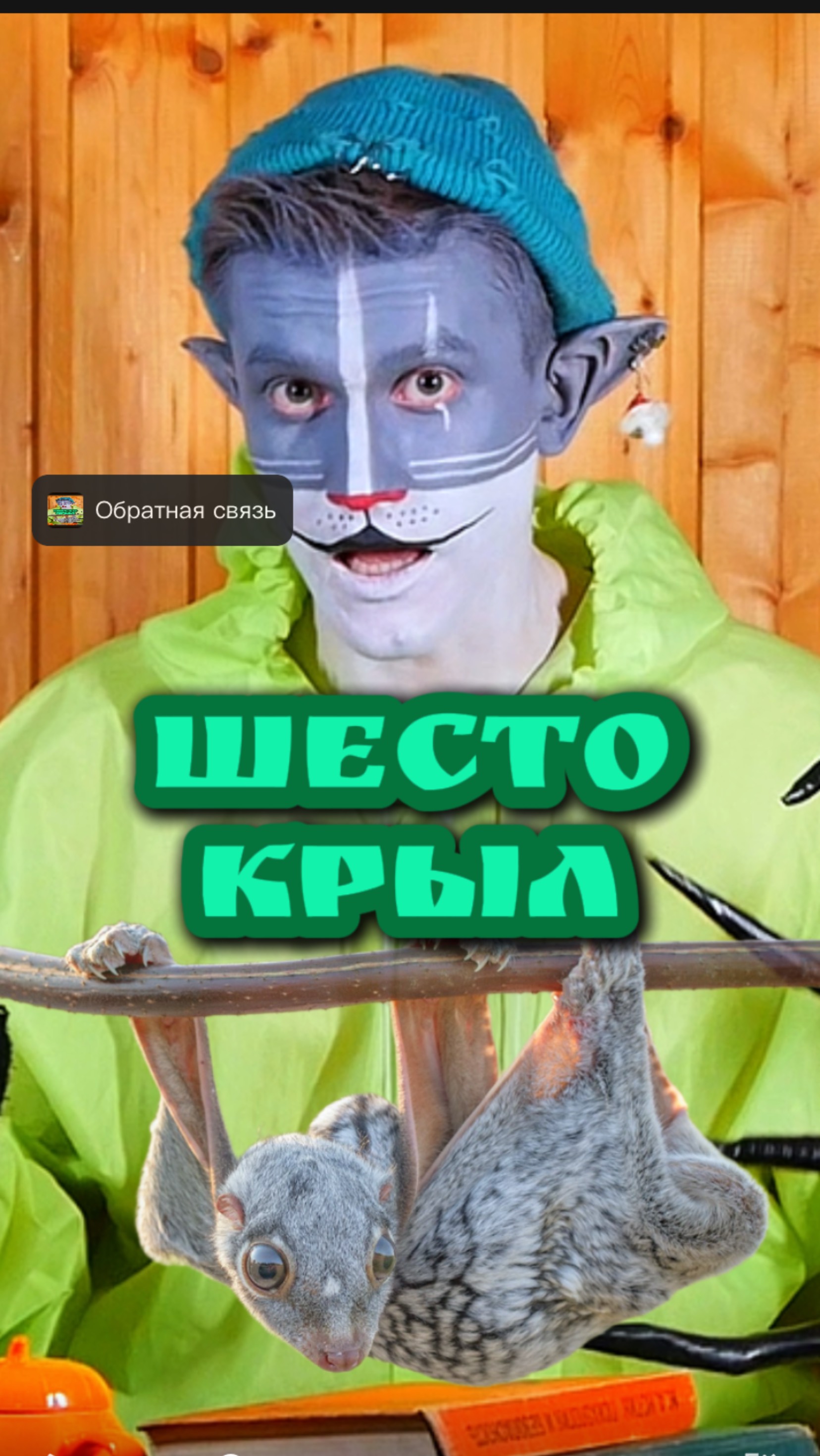 Кот Учёный и Шестокрыл 🦇 смотреть онлайн