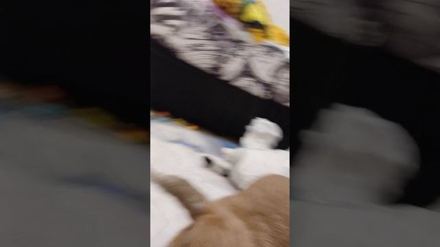 1532.mp4 смотреть онлайн