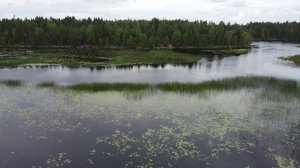 ТРЕК-ЛЮДИ ЗАПЛАТКИ(Zlatentsia) из фильма КАРЕЛИЯ. Река ОНДА. 2025 год. Конец июля - начало августа.