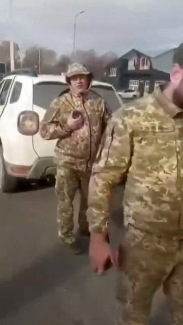 сокращеная программа отправки овцы на мясо тцкашниками смотреть онлайн