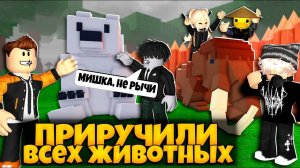 ПРИРУЧИЛИ ВСЕХ ЖИВОТНЫХ В ИГРЕ 99 НОЧЕЙ В ЛЕСУ | 99 NIGHTS IN THE FOREST ROBLOX