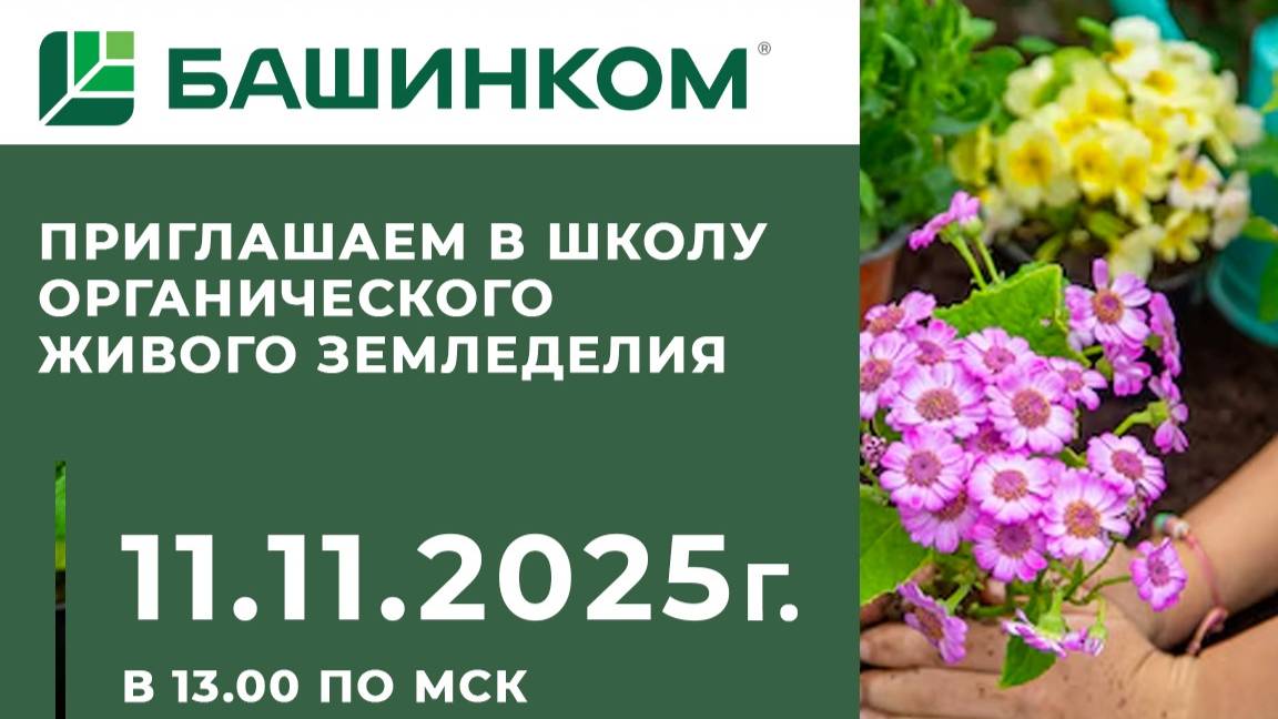 Школа ОЖЗ смотреть онлайн