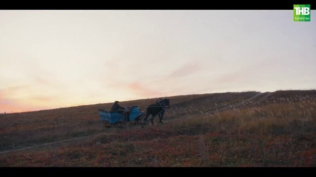 "Кеше китә - җыры кала" сериалы - 12 серия | ТНВ смотреть онлайн