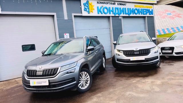 ШКОДА КОДИАК СИЛИКАГЕЛЬ-кОмПлЕкСнАя ПрОмЫвКа от СиЛиКаГеЛя SKODA KODIAQ с ГАРАНТИЕЙ смотреть онлайн