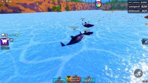 ЭВОЛЮЦИЯ АКУЛЫ! СТАЛ МЕГА АКУЛОЙ В ROBLOX