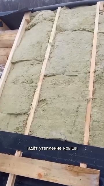 Стропильная система в срубе. Ставим крышу