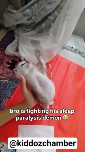 lil bro has been slain the demon 😭