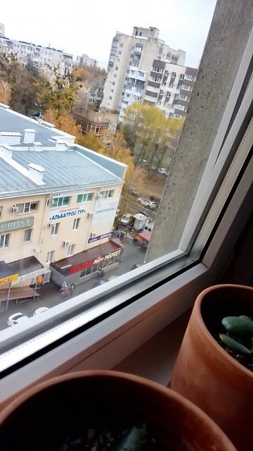 новый троллейбус сатанулом ходом смотреть онлайн