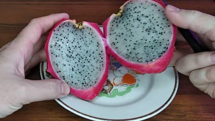 Выращиваем драконий фрукт из семечки.