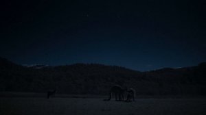 Земля ночью в цвете / сезон 2 / 3 из 6 / 2021, документальный, сериал