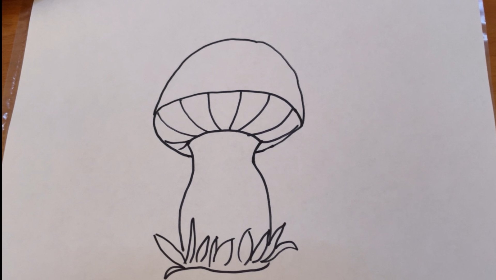 Гриб. Рисуем Вместе. смотреть онлайн