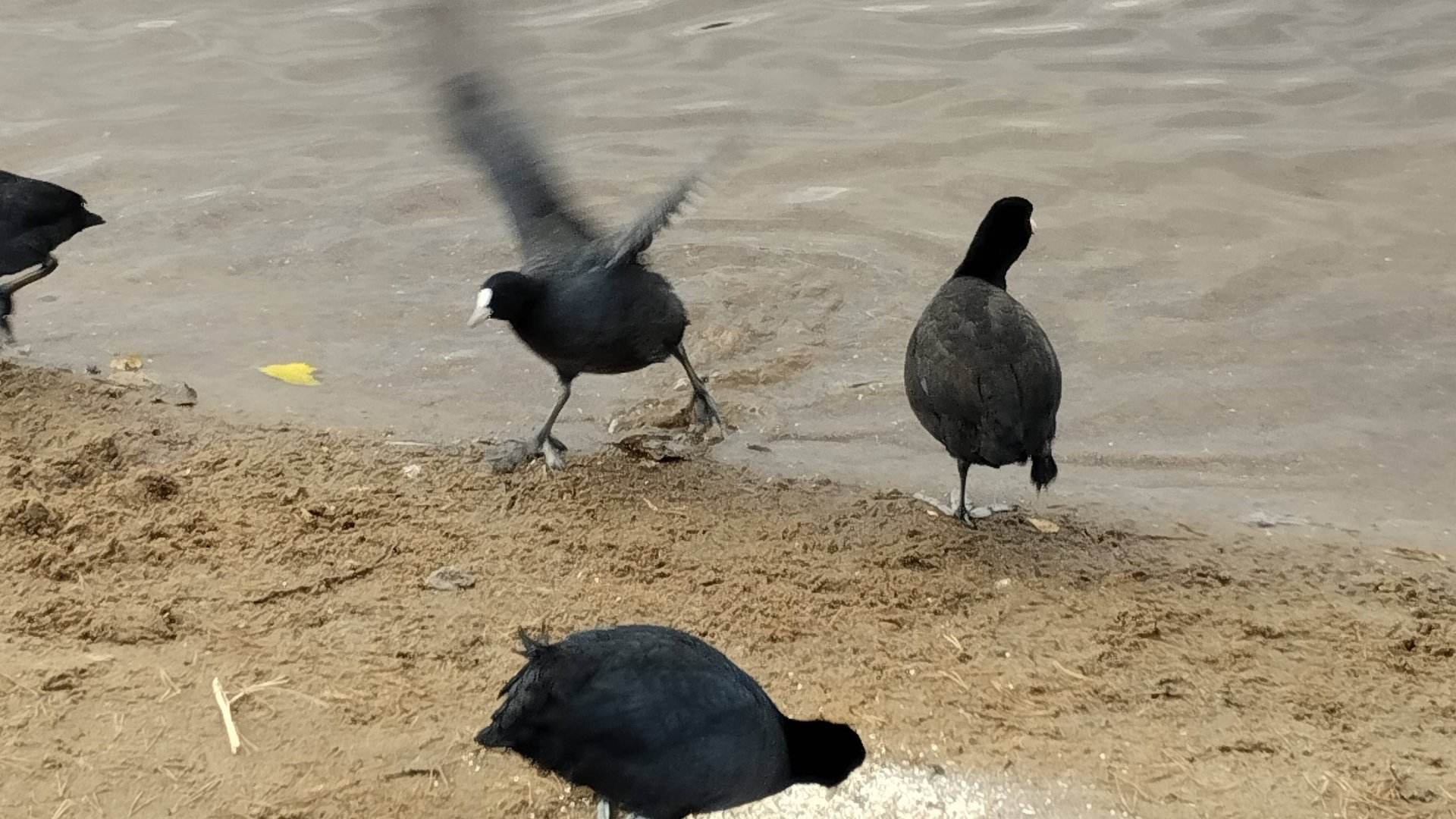 Суздалбские озера _ Озерки смотреть онлайн