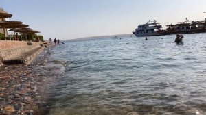 Обзор отеля Seagull Beach Resort 4*, Египет, Хургада