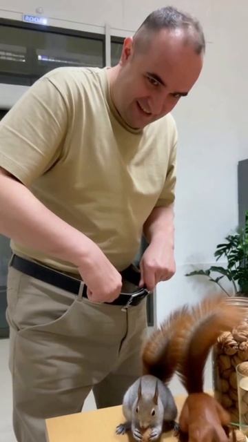 Белки в штанах 😂