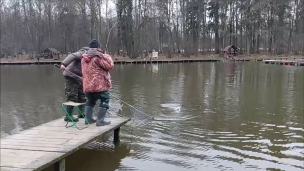 Поимки форели на разные виды снастей. Клёвое место, Лосиный остров, верхний водоём. смотреть онлайн