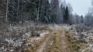 Полная Чухлома 2025. Дорога в село Бушнево