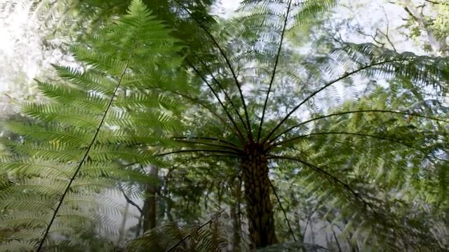 Международный год охраны здоровья растений 2020 смотреть онлайн