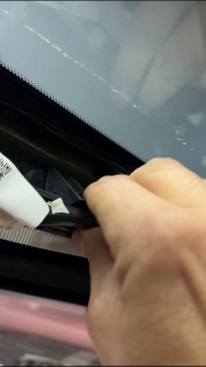 Сверчки в Джили Монжаро