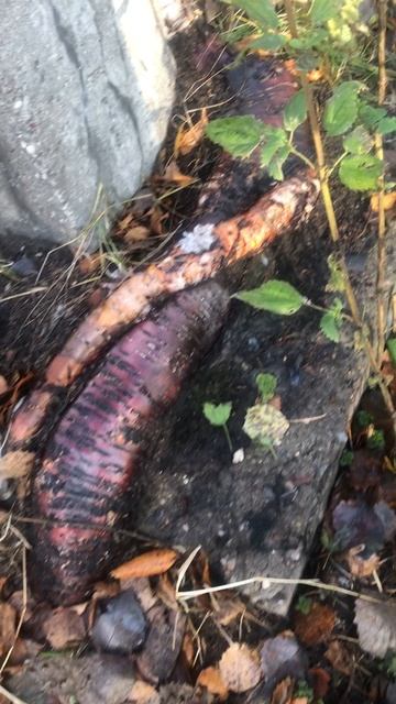 Интересное наблюдение смотреть онлайн