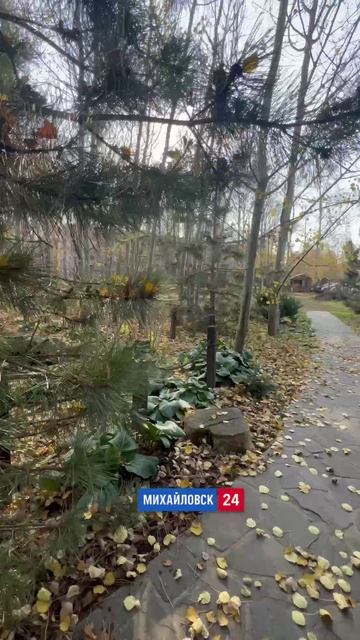 Храм святого благоверного князя Александра Невского, г. Михайловск