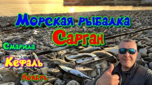 Что можно поймать в ноябре в Черном море
