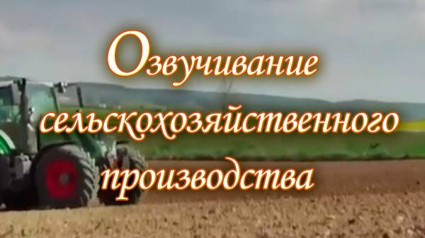 Quality Corn Seeds
