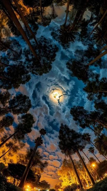 Природа смотреть онлайн