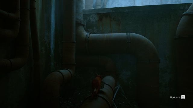 Stray прохождение серия 1