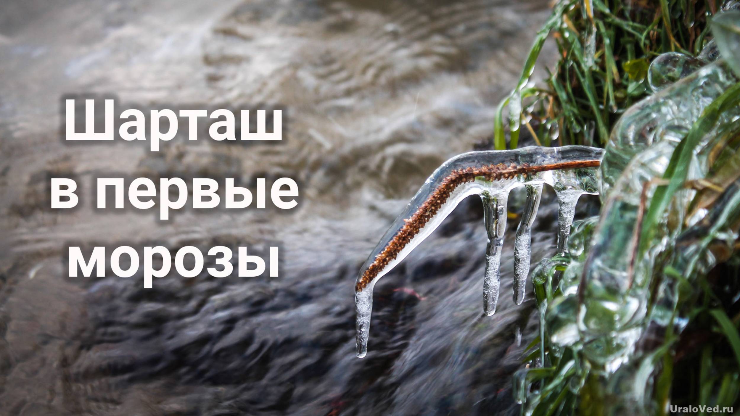 Озеро Шарташ. Первые морозы | Ураловед смотреть онлайн