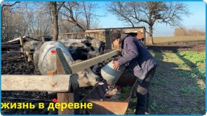 СДЕЛАЛ КОРМУШКУ ДЛЯ БЫКОВ А ИМ НЕ НРАВИТСЯ, НО ЭТО ПОПРАВИМО, ЖИЗНЬ В ДЕРЕВНЕ
