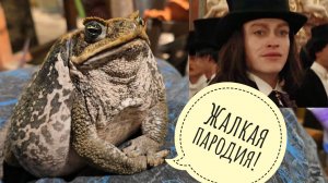 Хитрые сороки объедают сов. Жаба Брунгильда показывает характер и ужинает цыплятами