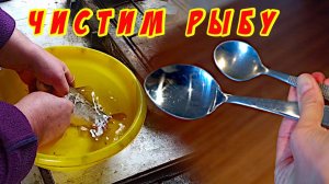 Как почистить быстро рыбу от чешуи