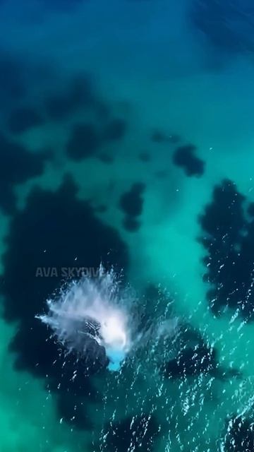 Высота и вода смотреть онлайн