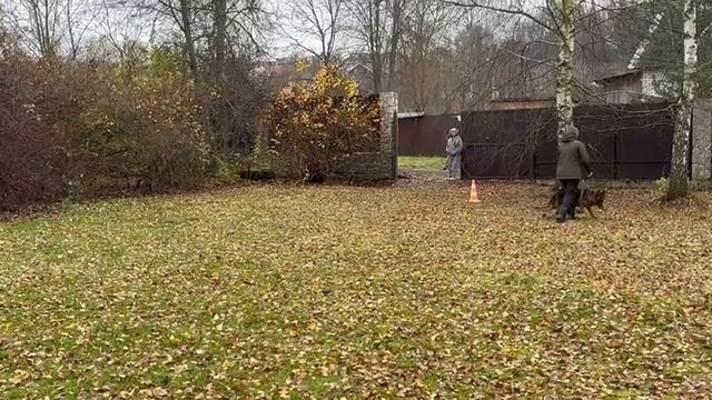 3. выражено/перв АММАЛИЕН ФЕЛИЦИЯ (Rome del Castello Fienga – Аммалиен Итака) смотреть онлайн