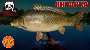 Фарм на озере Янтарное. Карп на Янтарке. Russian Fishing 4. рр4. Русская рыбалка 4.
