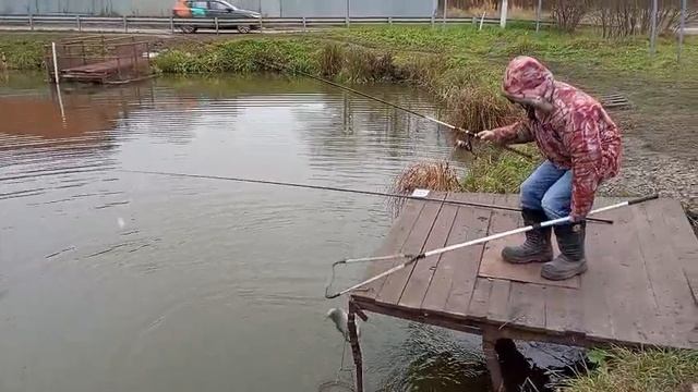 Форель4 смотреть онлайн