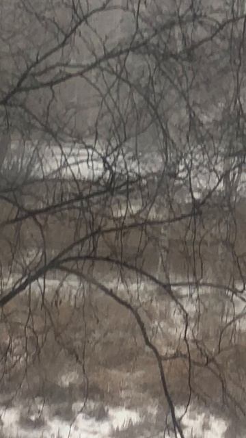 10 ноября (2025 год Архангельск) смотреть онлайн