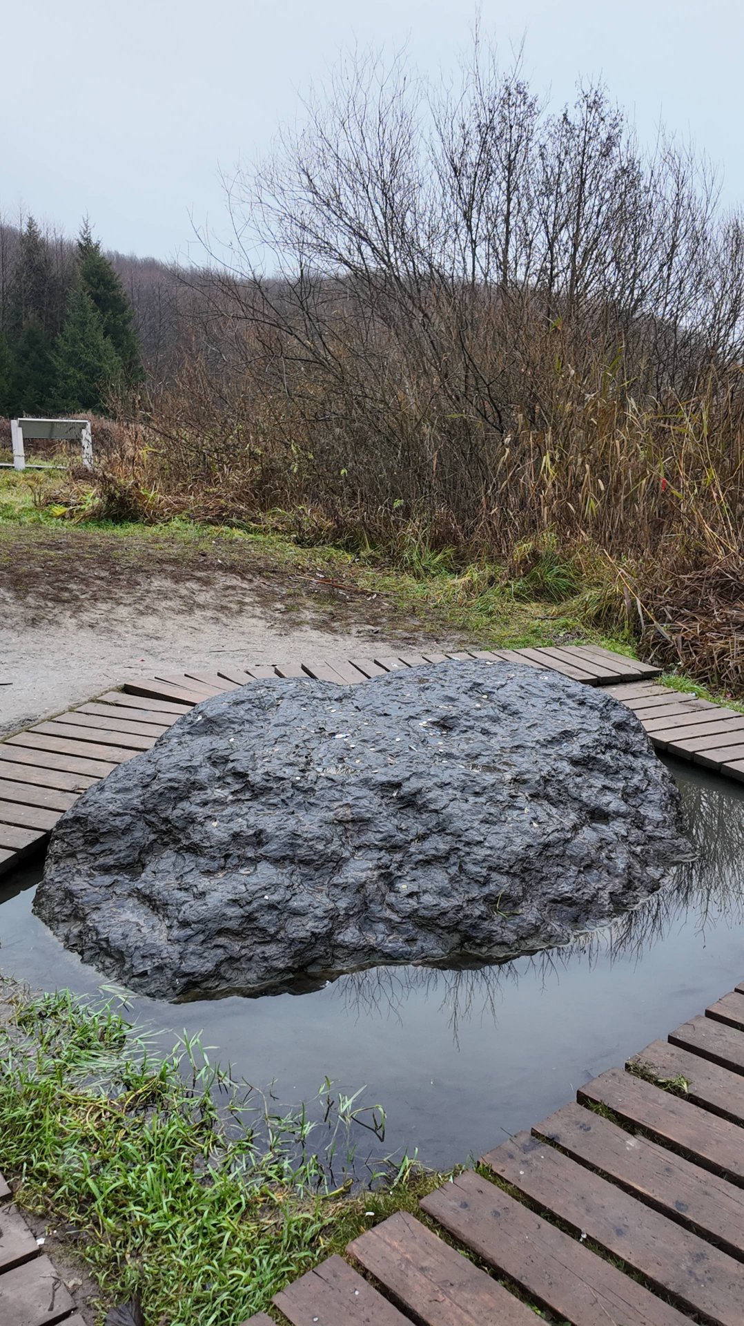 Си́ний ка́мень (Синь-ка́мень) — священный камень близ Плещеева озера. 09.11.2025 смотреть онлайн